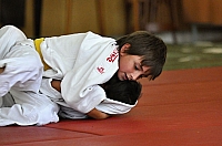 Sobenský rybník 20122.JPG.JPG